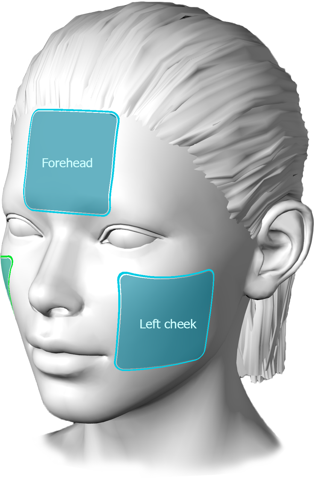 テンプレート機能